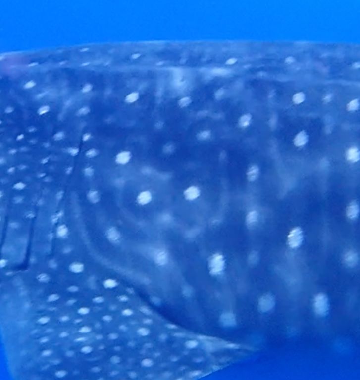 6bef2826-998a-45d5-acdd-b99a310d6cd7