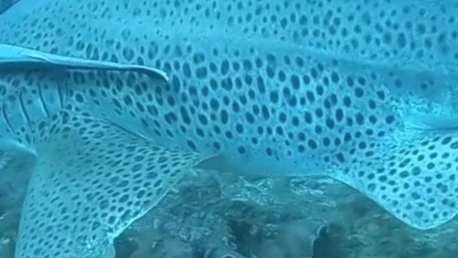 3963fa4e-a33f-43da-8710-25c939eb5320