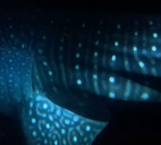 84f6c404-ea62-408d-8059-16099dc516f3