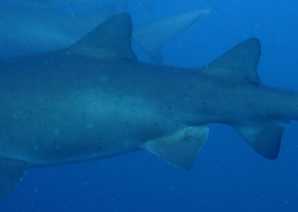 f2189993-56c1-4f57-8bbd-160928eb9928