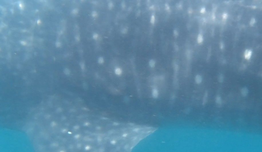 91c9de9c-a9f5-4ec6-9b0d-8214d8f054e2