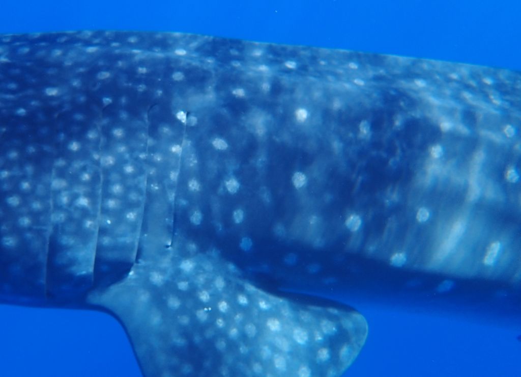 acfdd706-caaf-4d19-97dc-3421ab99ef5b