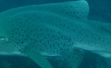 69ebc8ec-b973-45d0-a7b5-223e78fbc76f