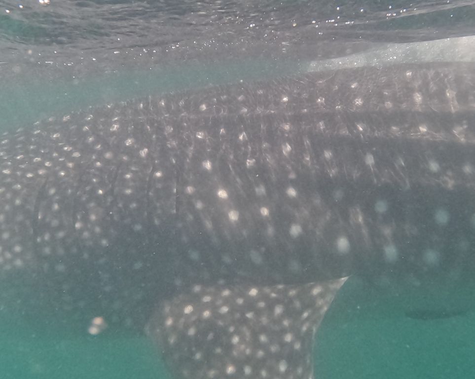 823bed3b-fd16-4bc4-a702-81d87e3bf7ab