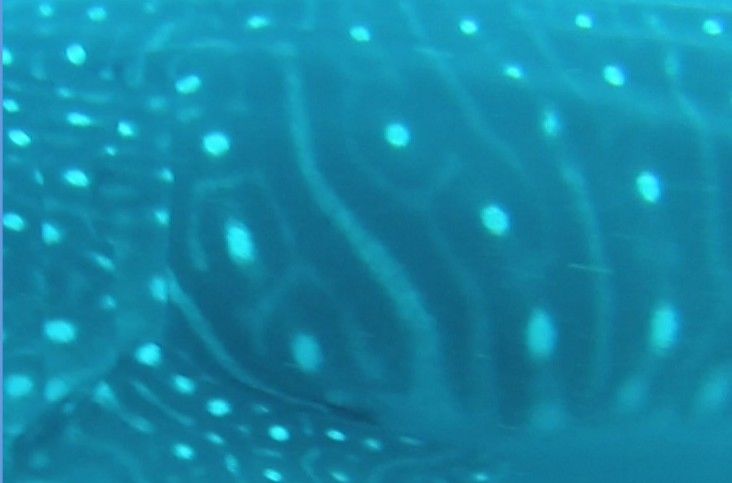 2e6abe25-045c-49c2-865e-598ea4f4197f