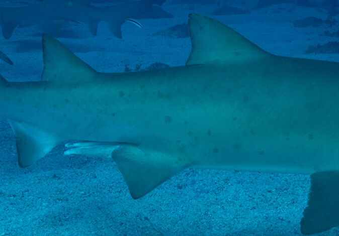 489cbdec-6f5a-4454-8935-b8a9b3338015