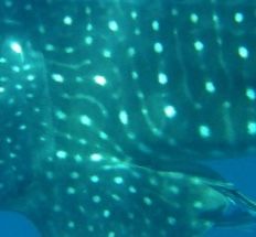 3efafac2-b50e-47e0-a9a2-c16b184b8701