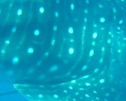 3efafac2-b50e-47e0-a9a2-c16b184b8701