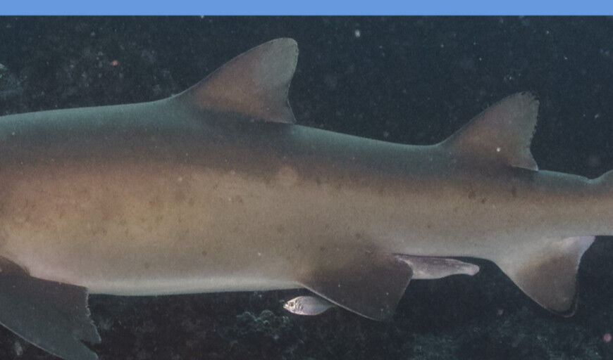 1fa051fd-0834-4f8f-b404-b950413a858e