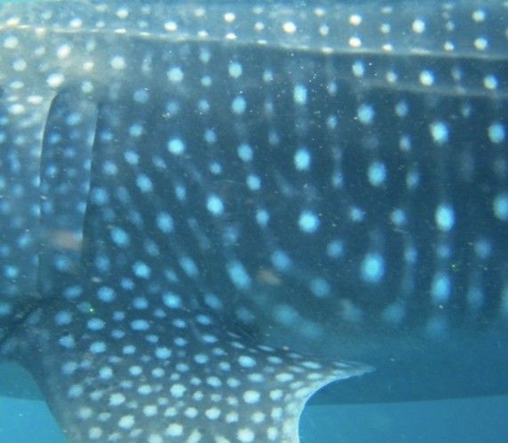 76bdf18f-c888-4308-adbf-548b8776f53a