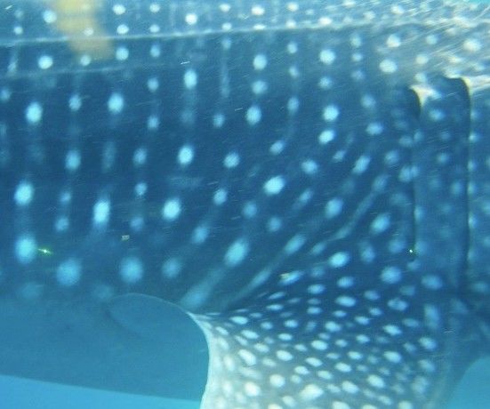 76bdf18f-c888-4308-adbf-548b8776f53a