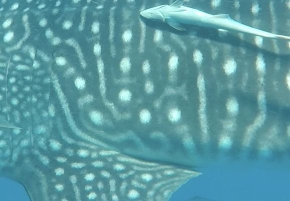 b8909867-f8c0-4d51-bbac-b4a9849f4746