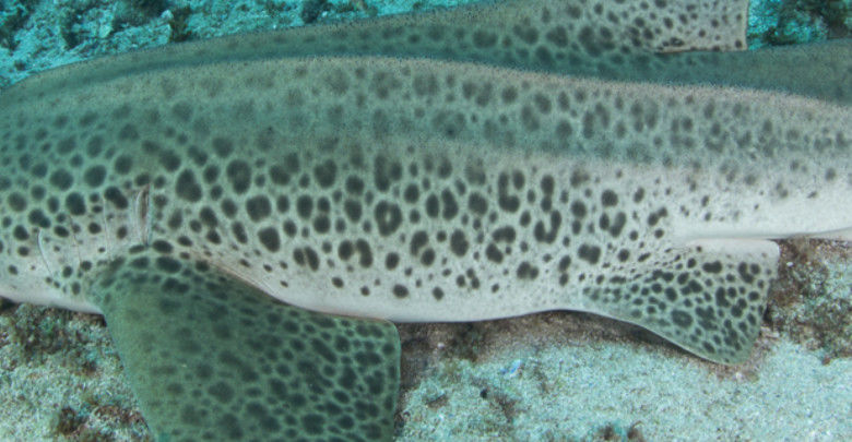 4e37243e-30ca-4516-bd38-5dd6606759e9