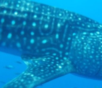 d2e5c389-6316-4e52-b9ce-c05475acb0d9