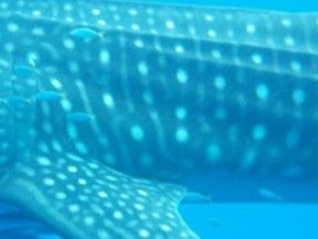 d2e5c389-6316-4e52-b9ce-c05475acb0d9