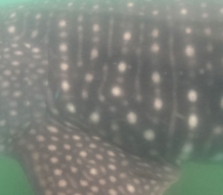 b110d133-4574-4e4e-98f9-cc4164651e3f