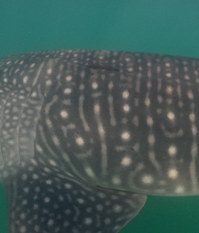 907a3e48-df3b-4c16-b215-cd3824132a70