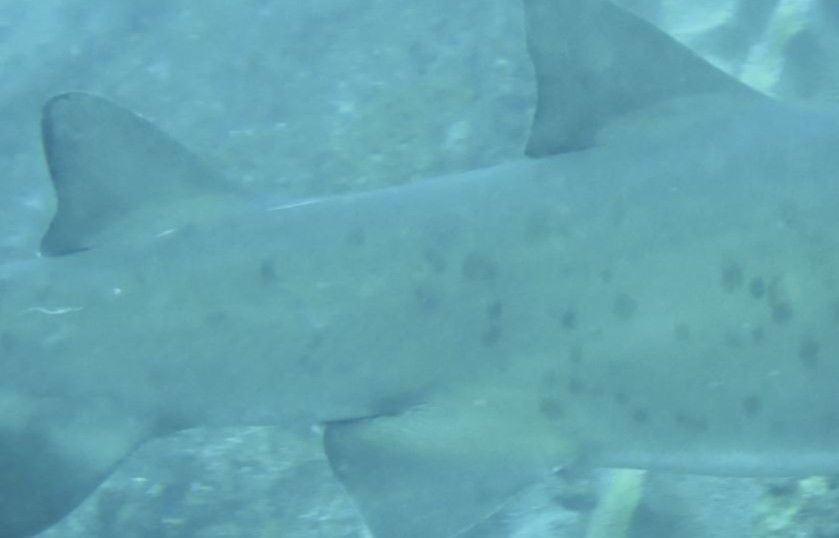 82a33298-e55c-4a5b-bd5c-6b86f99e53cd