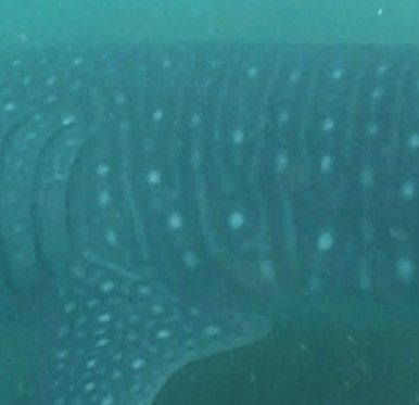 4ef3bcee-d903-4356-9cfc-5a56345f7595