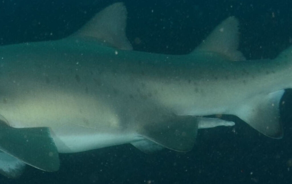 a6fd3b55-e970-4641-8c50-3d8d1c63d886