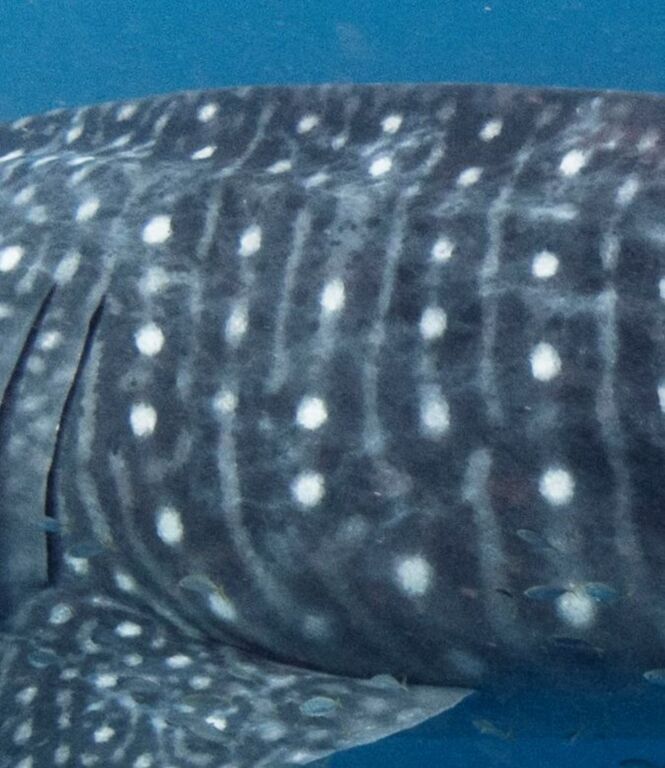 e508b570-aa76-44ad-8805-20635b7c39ad