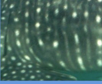 fba30463-4058-40bd-8929-bc4aefac91d9