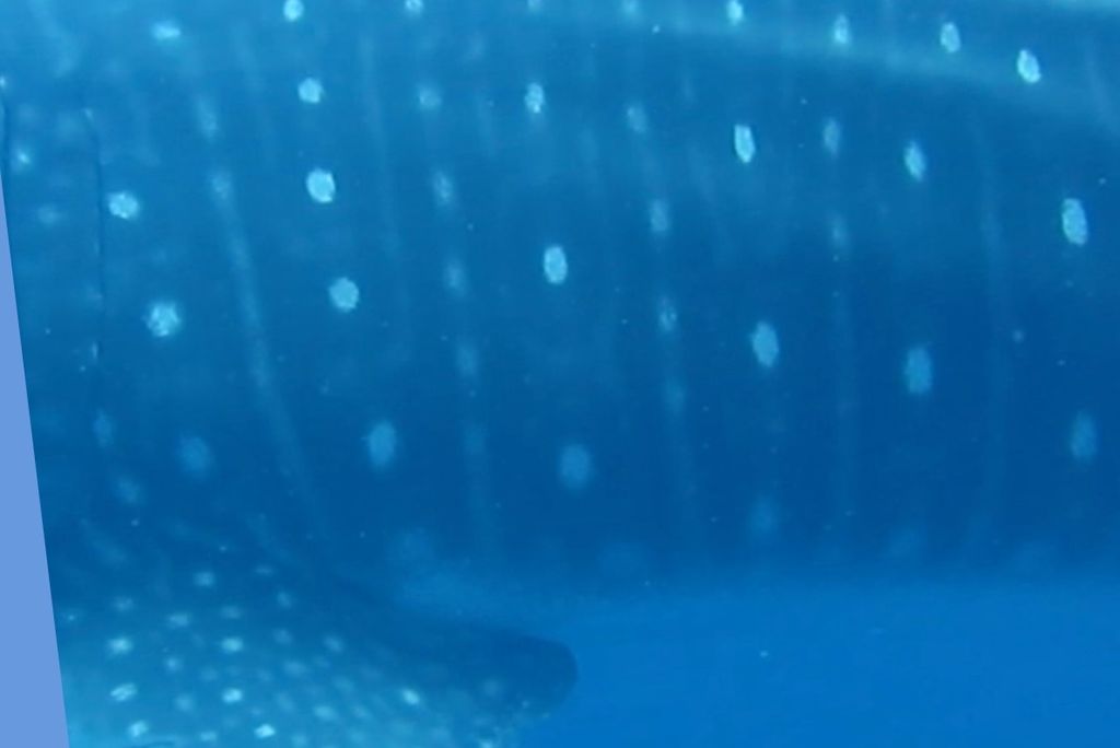 4898dcef-d873-4b53-becc-dfcc1607f191