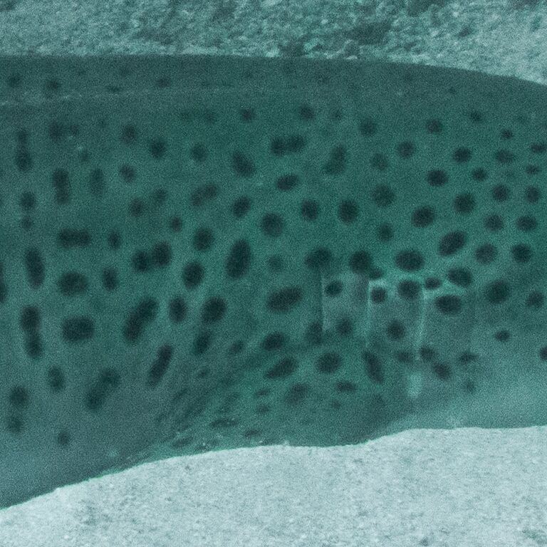 a8f4ce48-d627-4089-baa0-ada409ebddbb