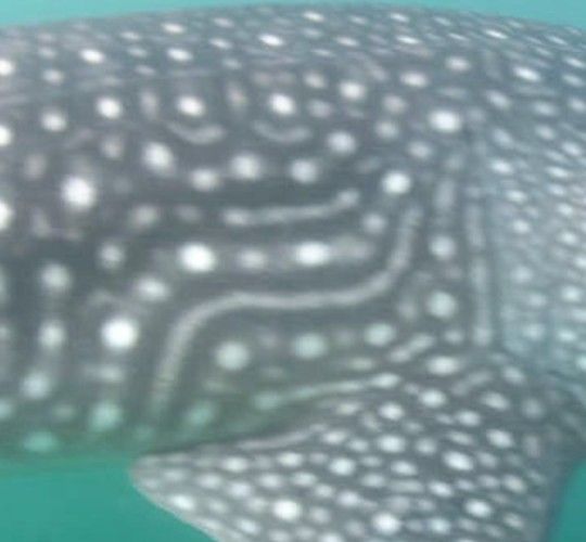 316c8d74-e5e7-4674-8818-681fccf94259