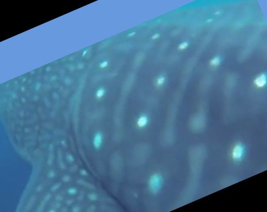 034d2ef6-bfff-4dd9-af01-65461cf52e49