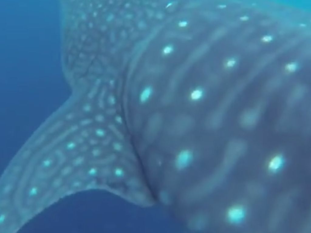 034d2ef6-bfff-4dd9-af01-65461cf52e49