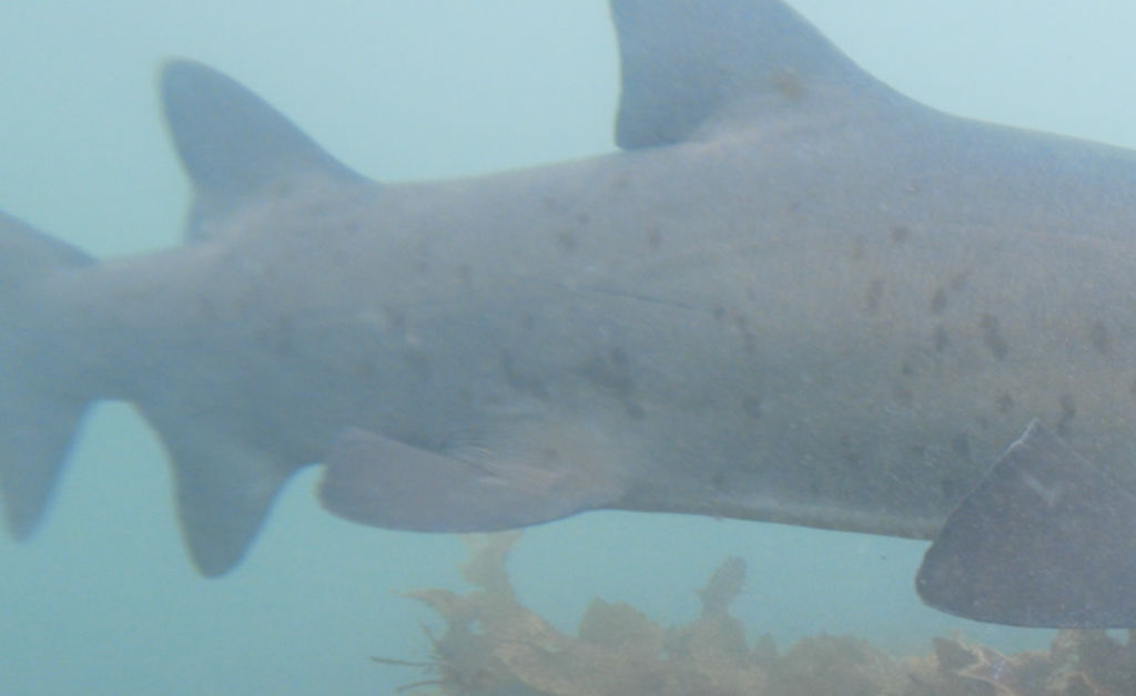 6402c64b-fd64-4145-b150-a9c43e9cc894