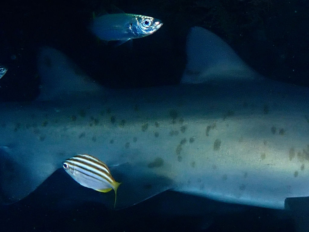 d7b2e744-9d3d-4827-bd7f-5e7e2215453f