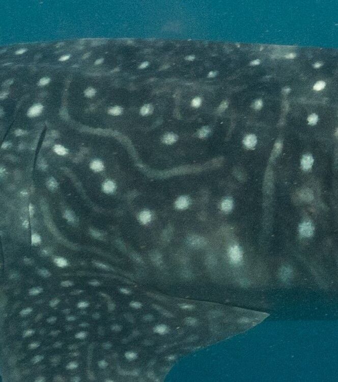 0abfe74b-417a-46f3-98e1-67a5d0d4dd75