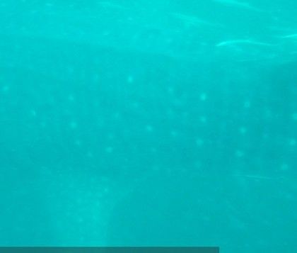 c7454dc3-3856-4caf-894b-948fc0ae3112