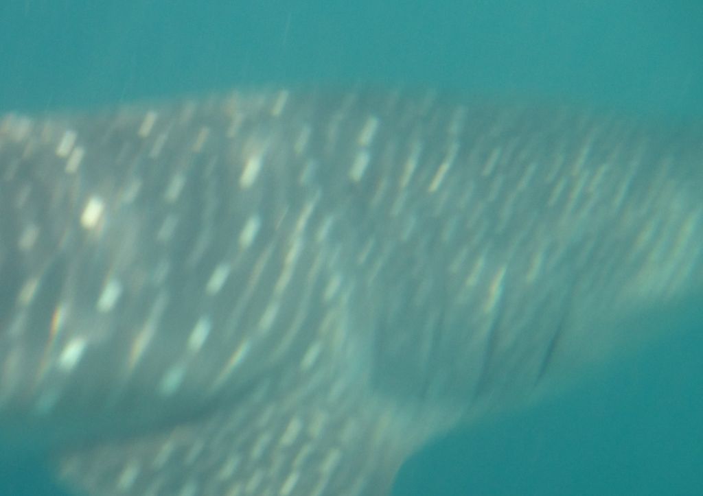 17eb045d-7576-4554-9883-5b6c3b88385e