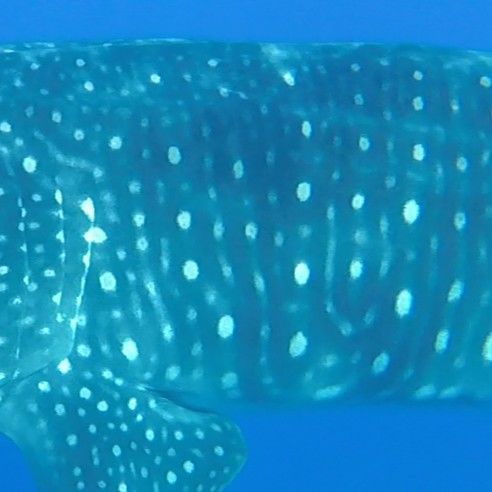 649b8d58-41b3-4bc7-acb2-96eb230acc93