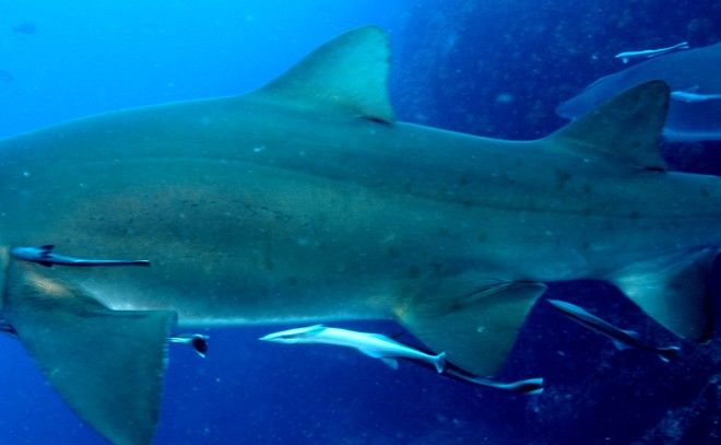 ba978c01-0d1f-485b-a800-b6fb4cf3003f