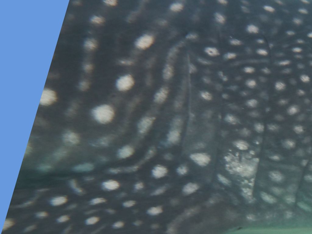 c56d13d1-ff31-46f6-9cbb-a1b705021e61