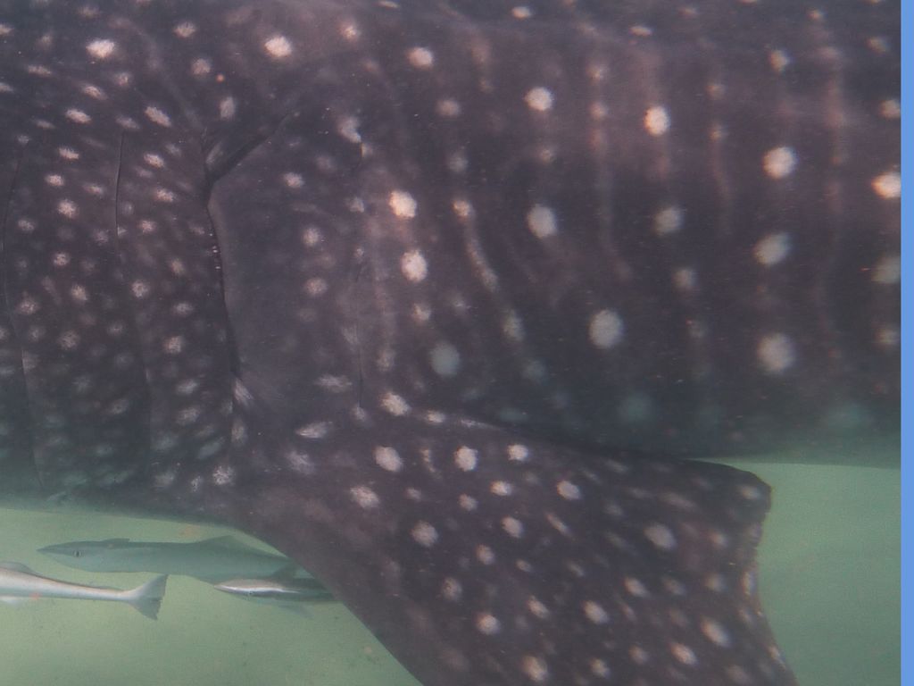 c56d13d1-ff31-46f6-9cbb-a1b705021e61