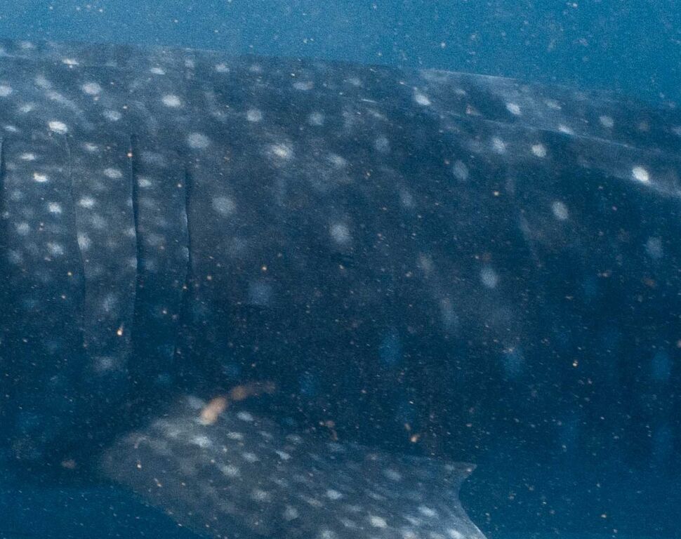 3e340e56-5596-4fba-a0d3-322692fcdc54