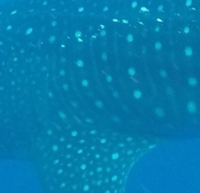 4f710282-59bc-415c-8a0d-8b125997e918