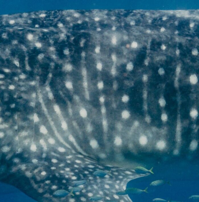 b38ef2c0-1a90-4683-ae43-94f9cfc7c109