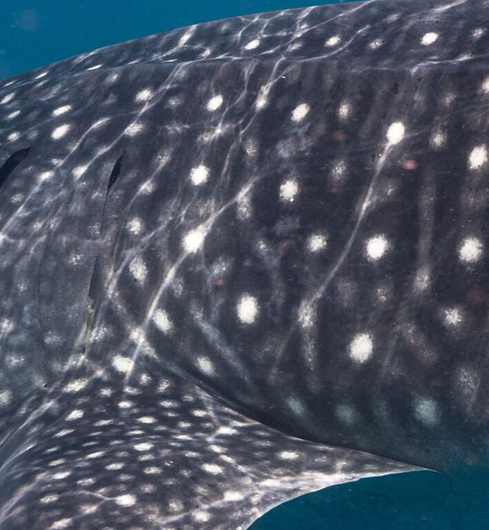 a575bc18-bad4-42de-9699-6bb545269598