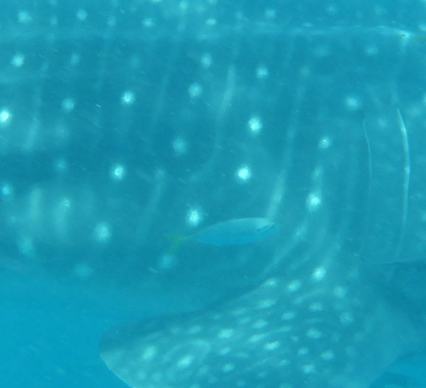 797d55ea-5634-4251-b64e-d3ab8909bf97