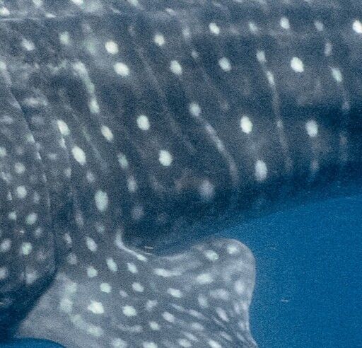 6bc91eb4-8e61-4d38-afaa-a29d8af2d855