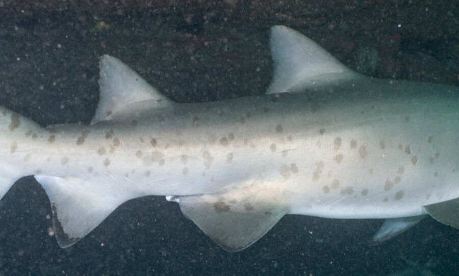 79b4579d-0125-4167-a084-cc841a05f0d7