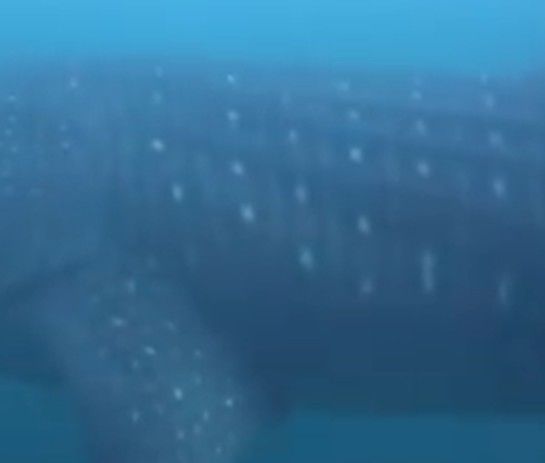 58be90f6-0711-44c8-8a1f-6d29f36bbd5b