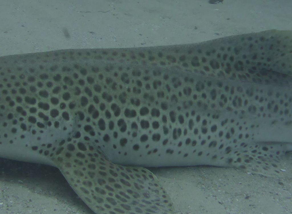 ed7aef77-69bb-48c1-b540-78e398e62408