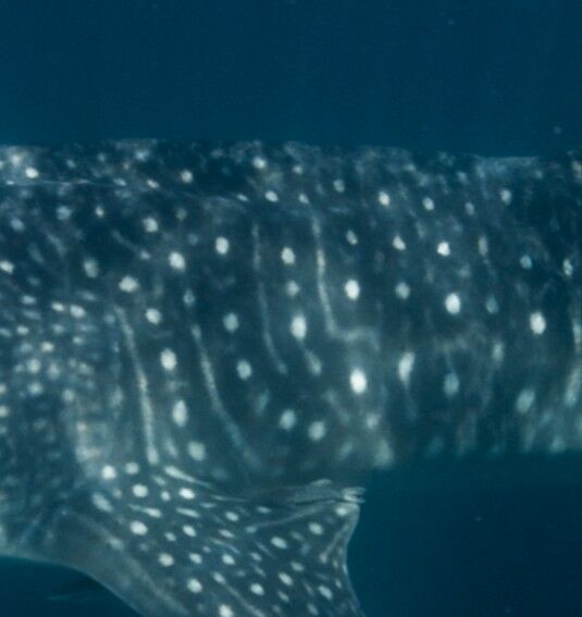 d440a7ac-cdc1-472a-8890-b08a462cb62b